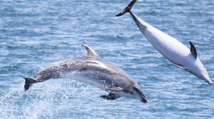 On the Beach Guesthouse and Suites