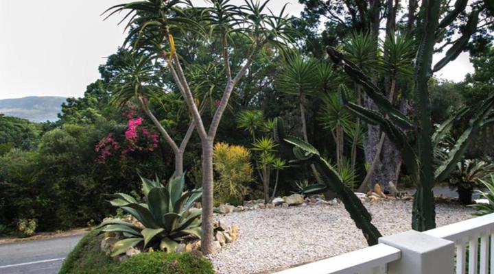 South Villa Guest House