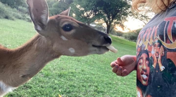 Ebenhaeser Overnight accommodation