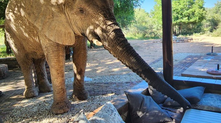 Twiga Lodge Mabalingwe