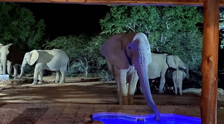 Twiga Lodge Mabalingwe