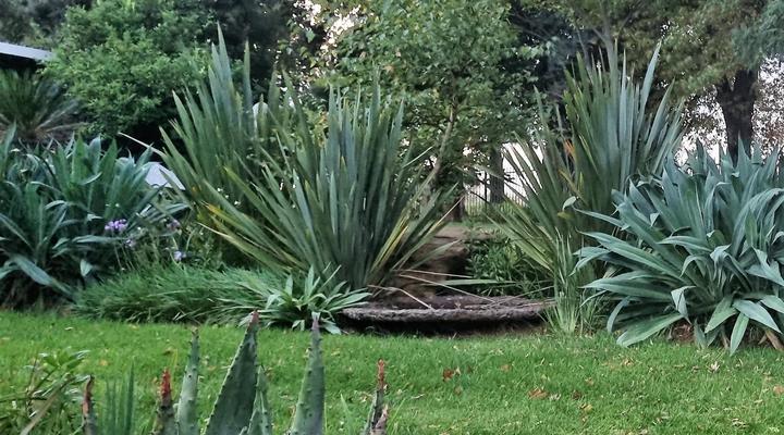 Rand Self-catering Accommodation