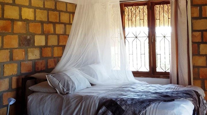 4 Night Bird and Beach Relaxation Tour