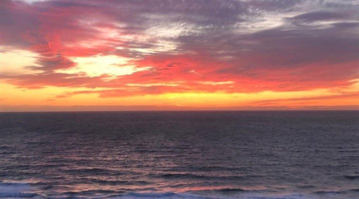 4 Night Bird and Beach Relaxation Tour