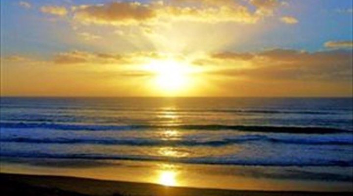 4 Night Bird and Beach Relaxation Tour