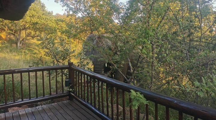 Mingwe Private Game Lodge