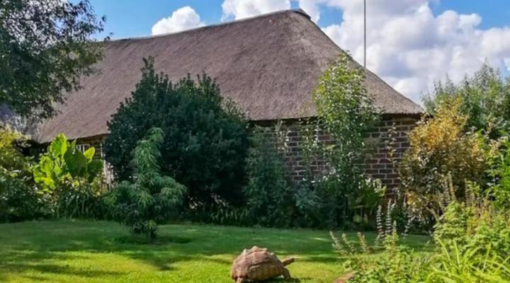 Midvaal Guesthouse