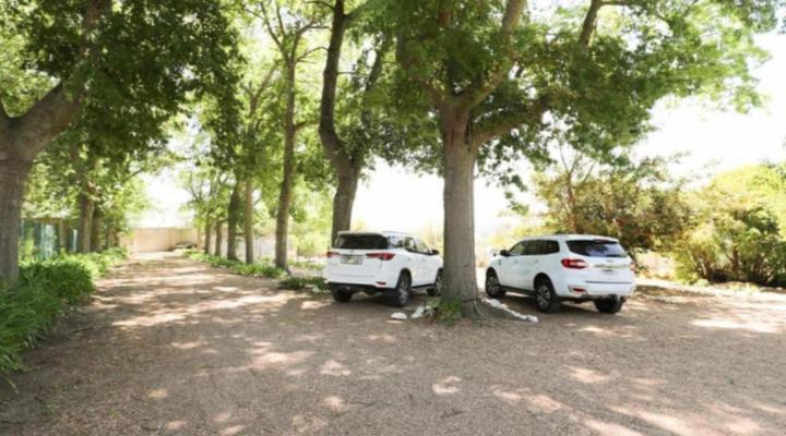 Strawberry Manor at In The Vine