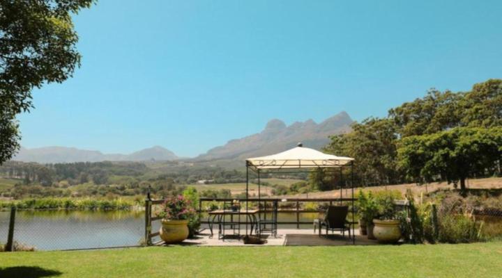 Strawberry Manor at In The Vine