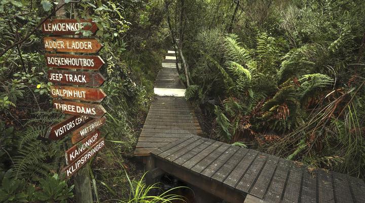 The Atlantic in Onrus