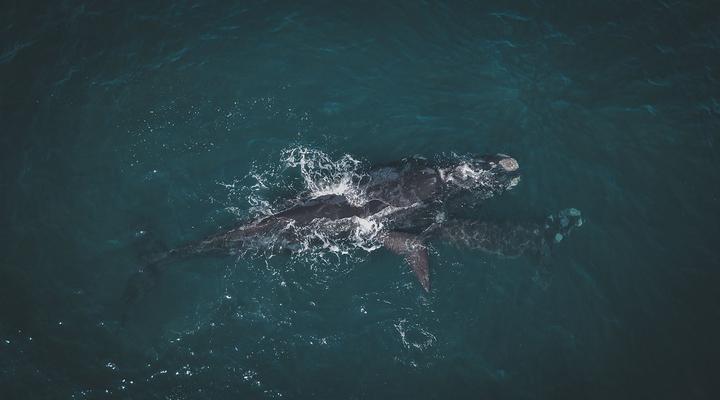 The Atlantic in Onrus