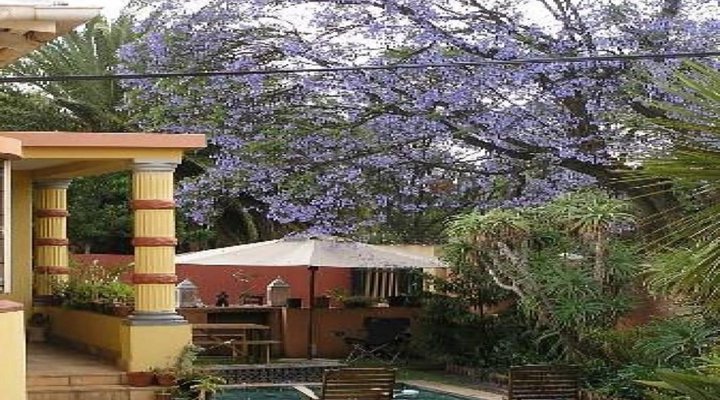 Sleepy Gecko Guesthouse