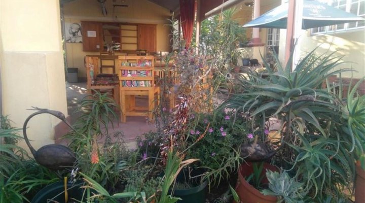 Sleepy Gecko Guesthouse