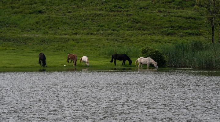 Montusi Mountain Lodge