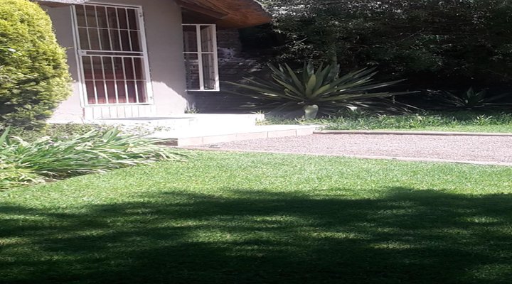 Leopard Tree Guest Village