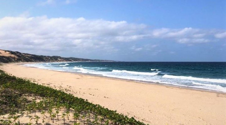 4 Night Bird and Beach Relaxation Tour