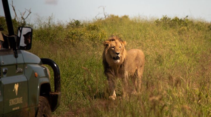 Sungulwane Private Game Lodge