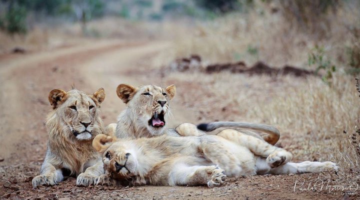 Sungulwane Private Game Lodge