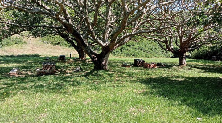 Woody Cape Nature Lodge