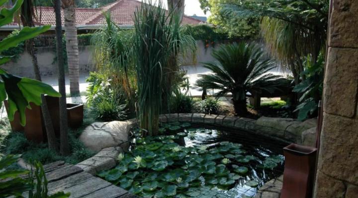 Summer Garden Guest House (The Palms)