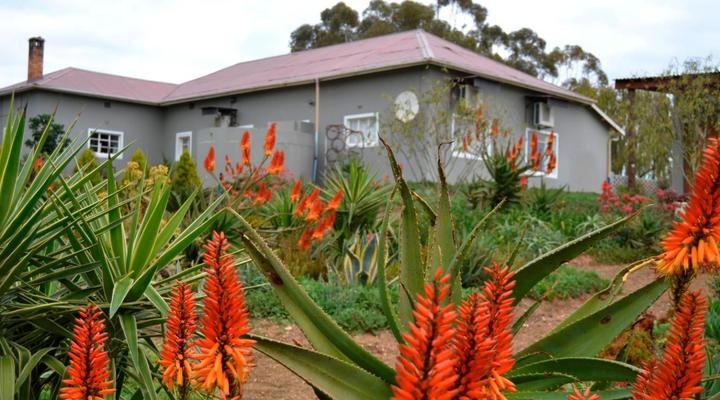 Excelsior Guest farm & Venue