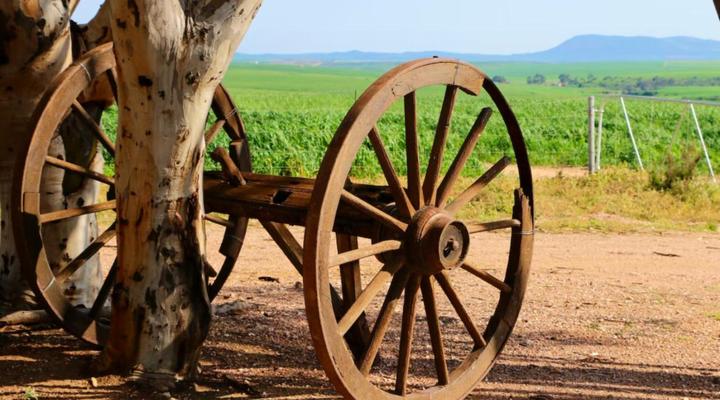 Excelsior Guest farm & Venue