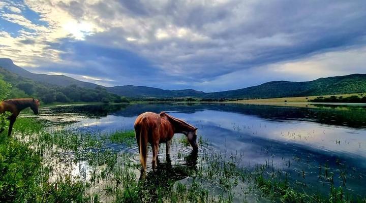 Blanco Guest Farm & Holiday Resort