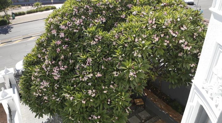 MOY Guesthouse & Backpackers