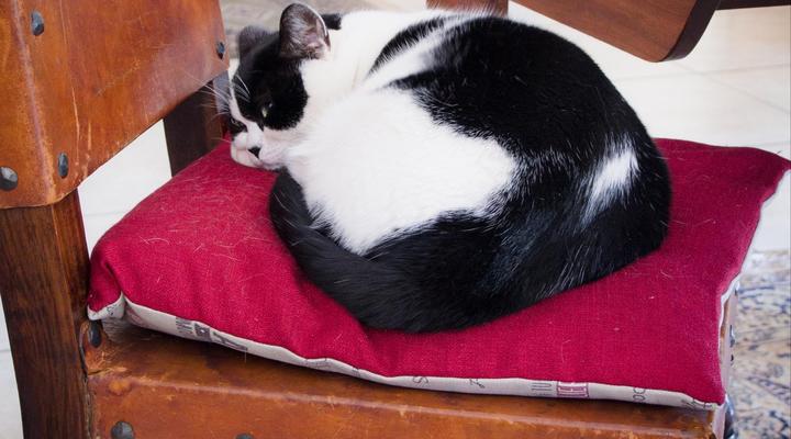 De Zoete Rust Guest House