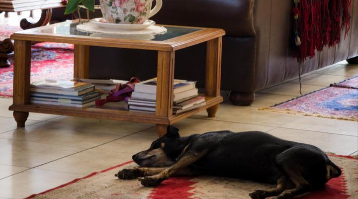 De Zoete Rust Guest House