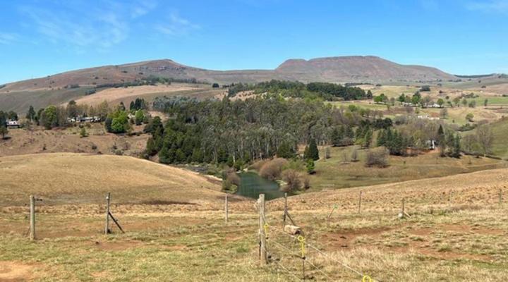 Tin Can Glamping Caravan