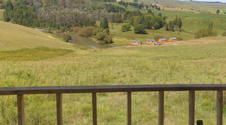 Tin Can Glamping Caravan