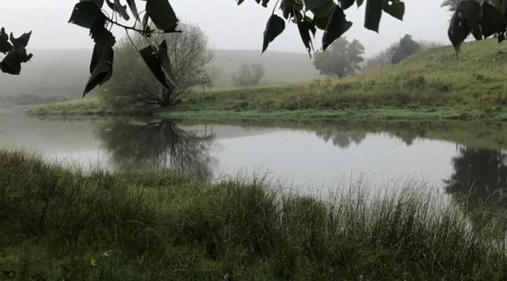 Tin Can Glamping Caravan
