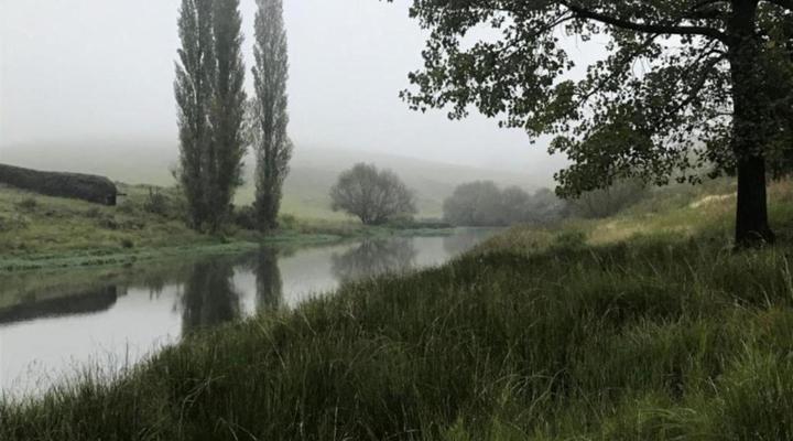 Tin Can Glamping Caravan