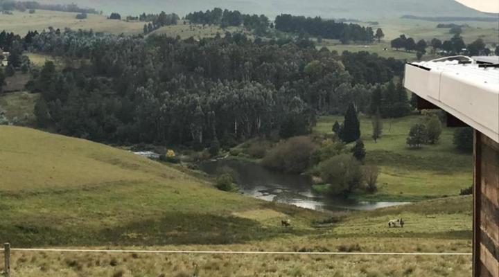 Tin Can Glamping Caravan