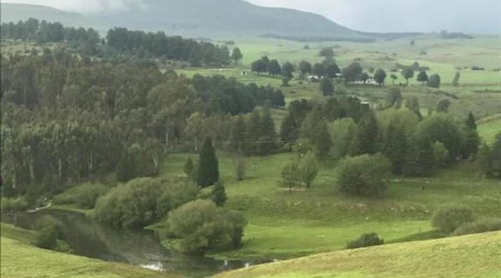 Tin Can Glamping Caravan