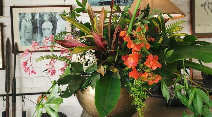 Mount Meru Game Lodge & Sanctuary