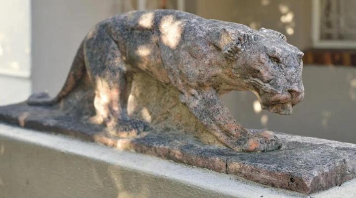 The Lions Guesthouse