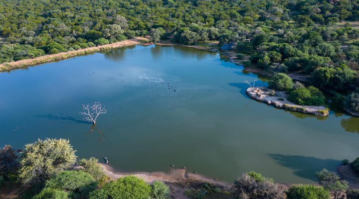 Sable Ranch Bush Lodge