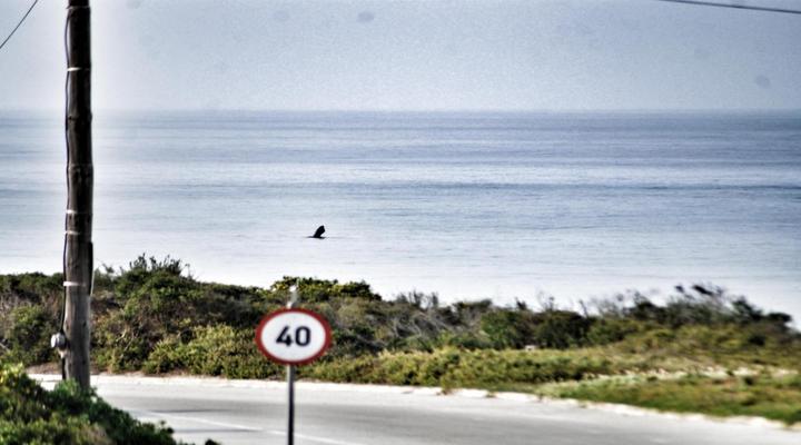 Beach House Villa Wilderness