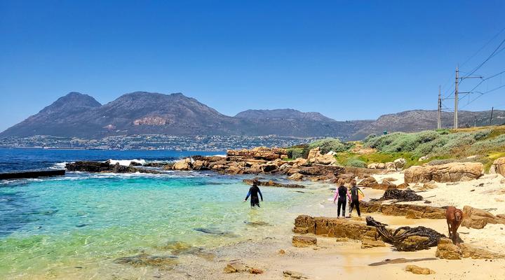 Froggy Farm Self Catering