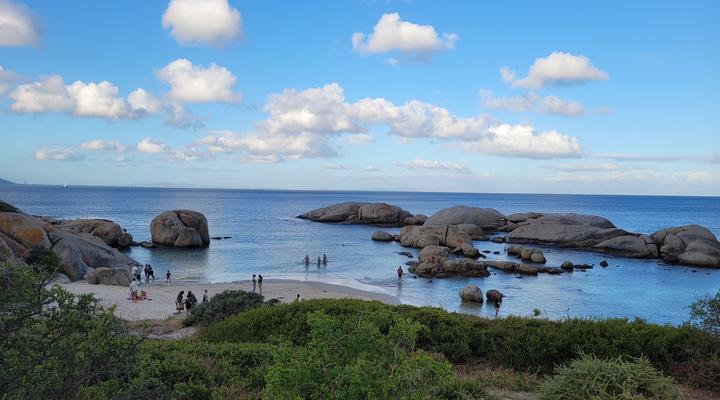 Froggy Farm Self Catering