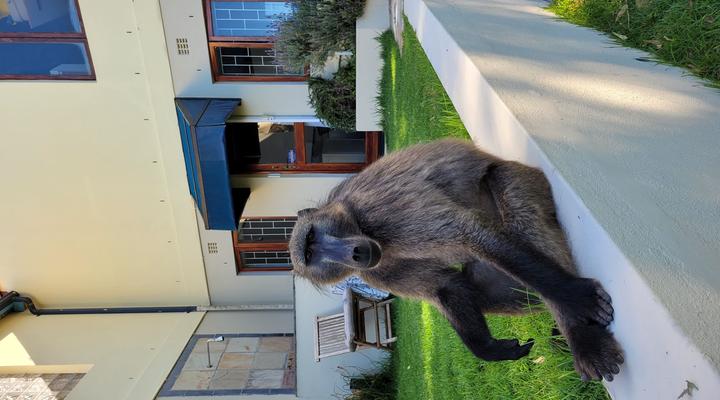 Froggy Farm Self Catering