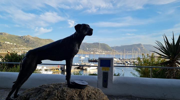 Froggy Farm Self Catering