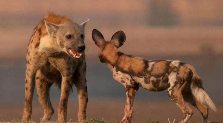 Msandile River Lodge