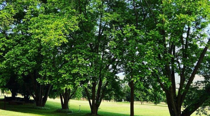 La Luna @ Misty Mountains