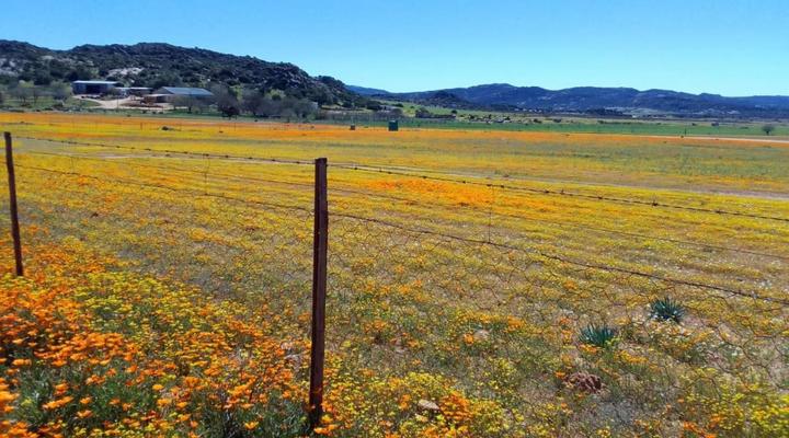 Thys'e Kombuis & Guest House