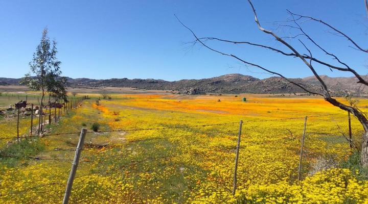 Thys'e Kombuis & Guest House