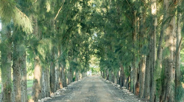 Hopefield Guesthouse-Addo