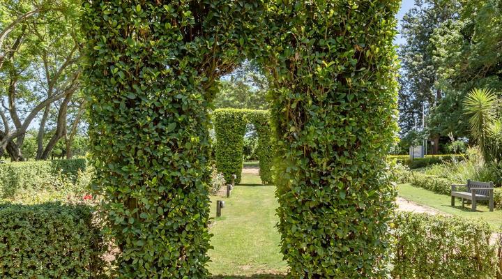 Hopefield Guesthouse-Addo